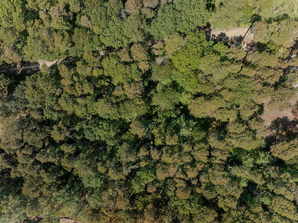 Wellfleet, Massachusetts 02667, United States, ,Land,Active,211565