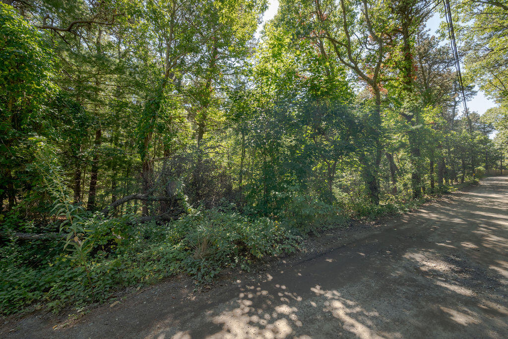 Wellfleet, Massachusetts 02667, United States, ,Land,Active,211565