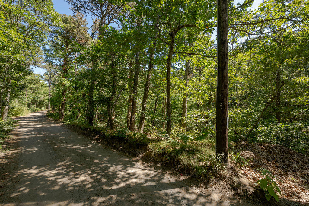 Wellfleet, Massachusetts 02667, United States, ,Land,Active,211565
