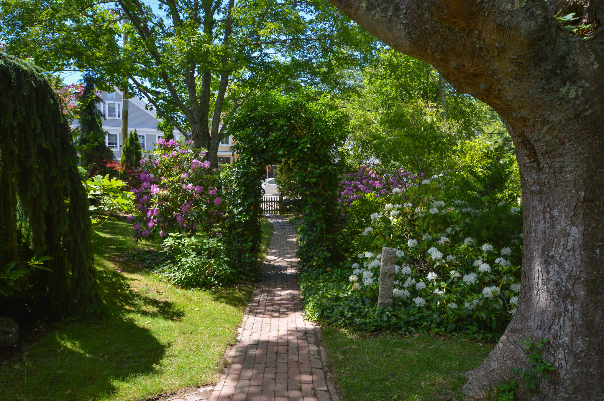 Yarmouth Port, Massachusetts 02675, United States, 6 Bedrooms Bedrooms, ,6 BathroomsBathrooms,Residential,Active,59311