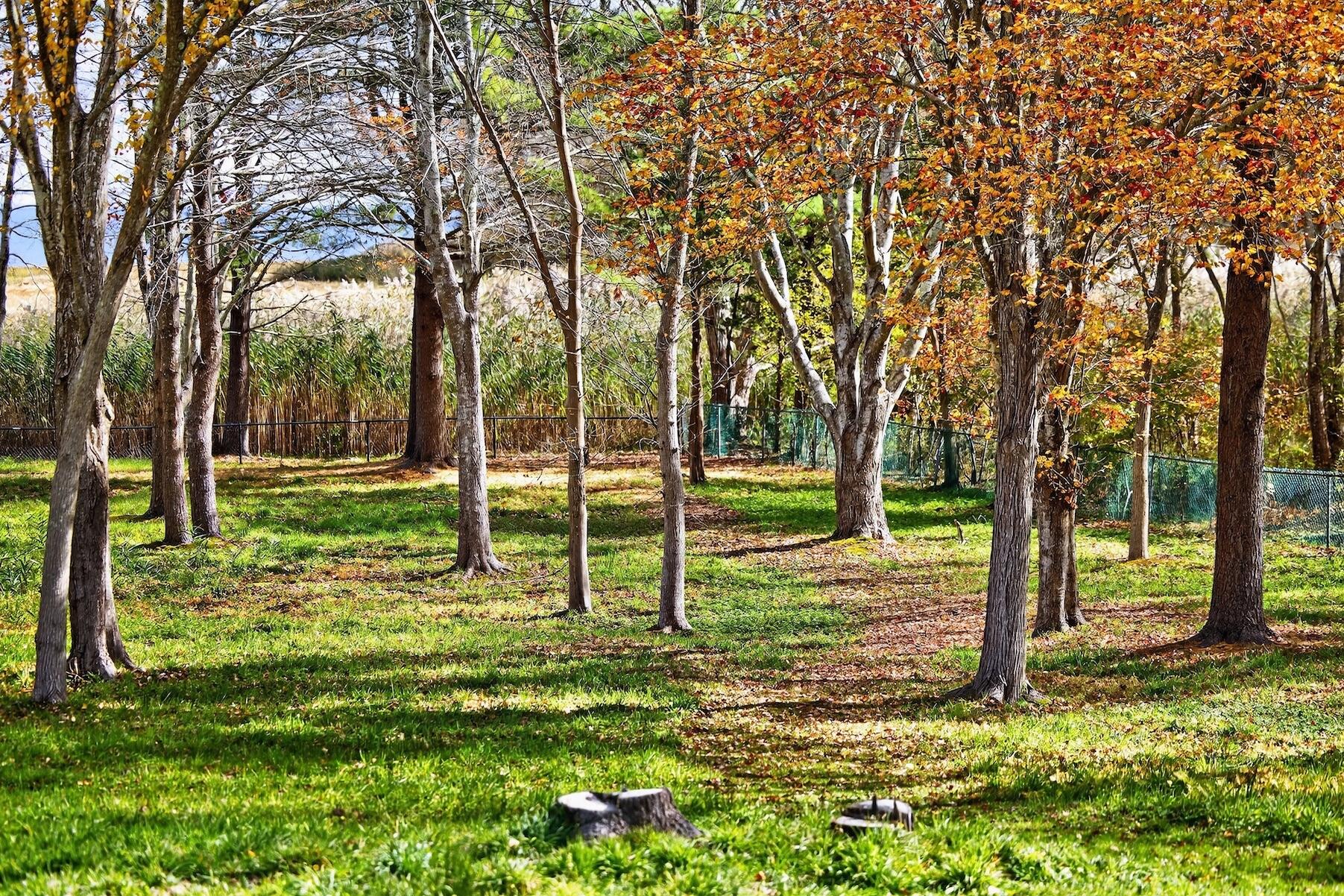 Duxbury, Massachusetts 02332, United States, 5 Bedrooms Bedrooms, ,6 BathroomsBathrooms,Residential,Active,234748