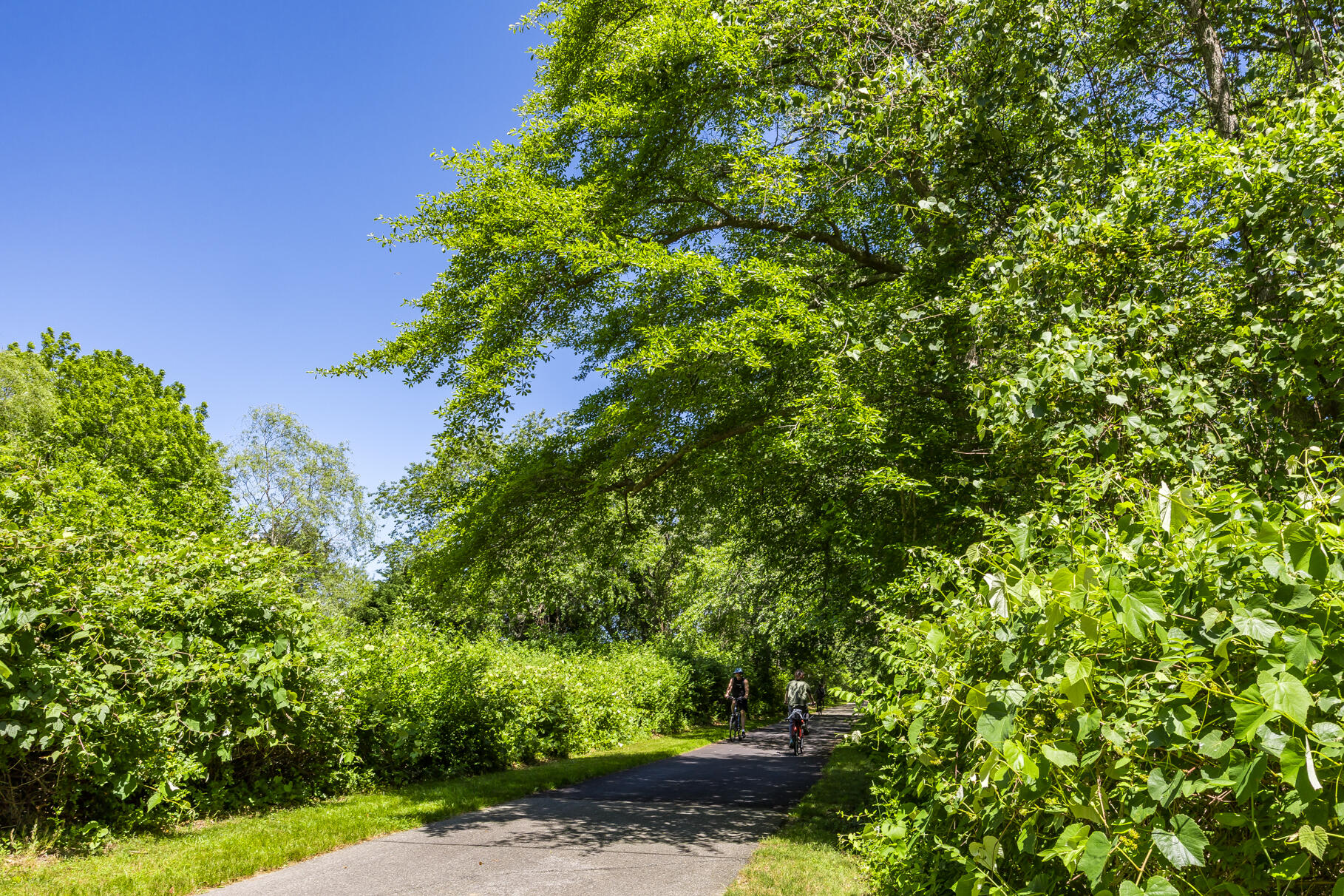 Brewster, Massachusetts 02631, United States, 3 Bedrooms Bedrooms, ,3 BathroomsBathrooms,Residential,Active,160519