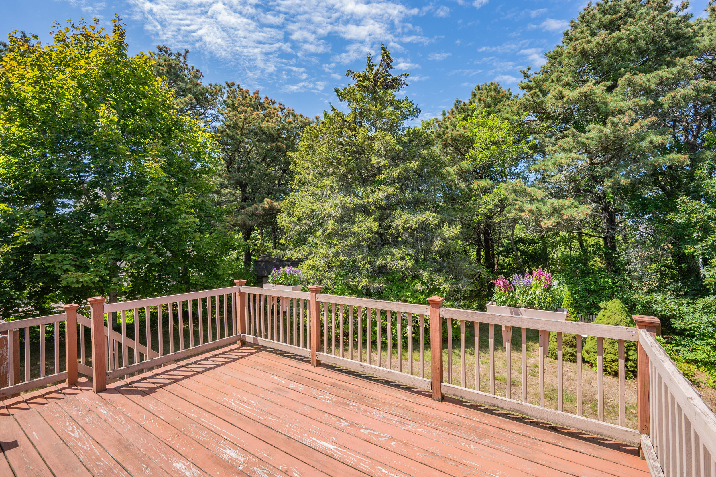 Chatham, Massachusetts 02633, United States, 4 Bedrooms Bedrooms, ,3 BathroomsBathrooms,Residential,Active,191513