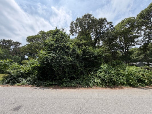 21 TOBEY WAY, HYANNIS, MA 02601 - Image ba5ce8a80562f749c5603fbe8a2edd2c/1083436612