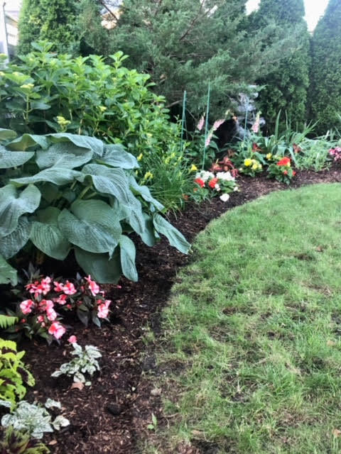 Dennis Port, Massachusetts 02639, United States, 4 Bedrooms Bedrooms, ,4 BathroomsBathrooms,Residential,Active,141185