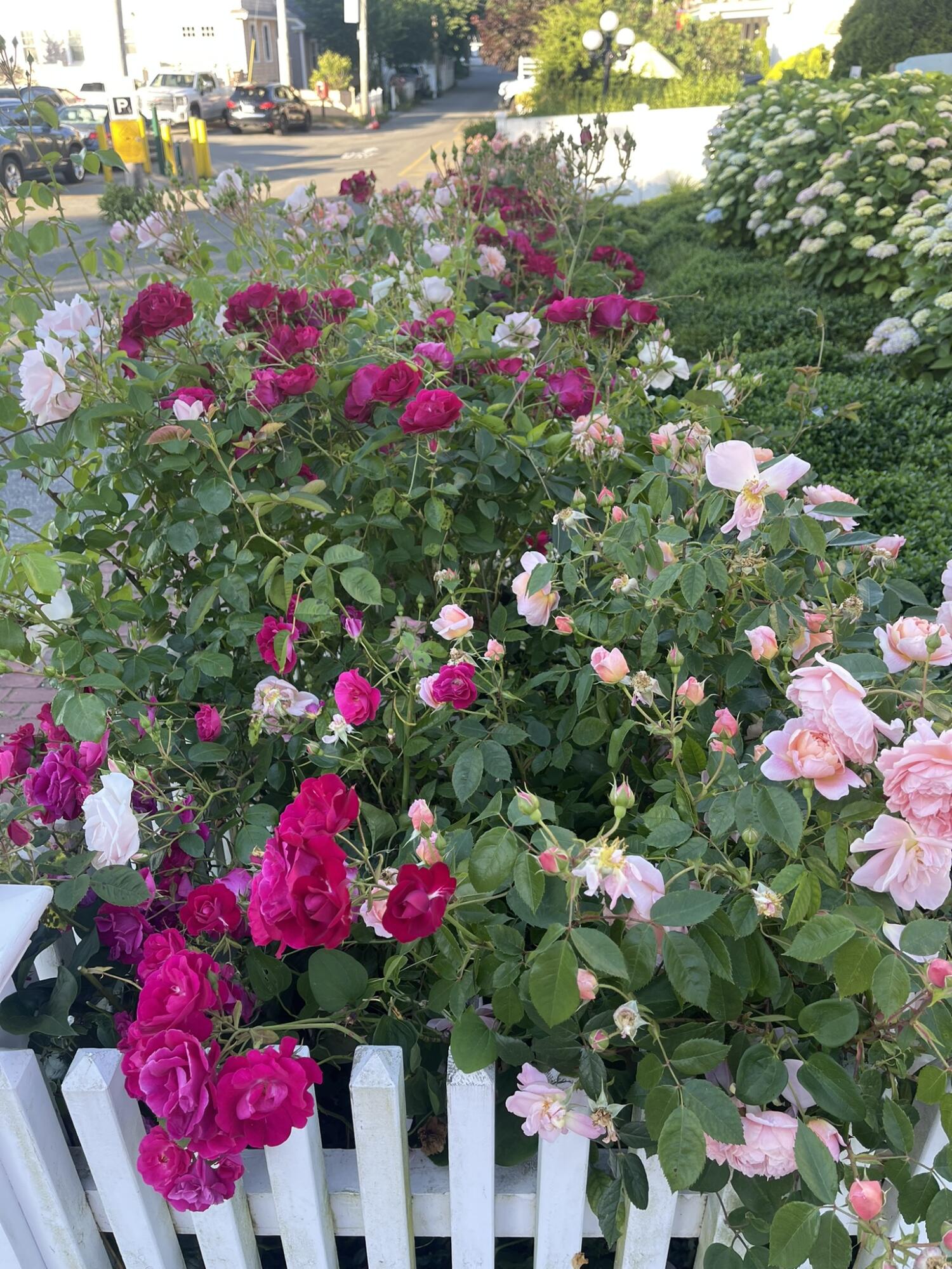 54 commercial Street 3,4,5,6