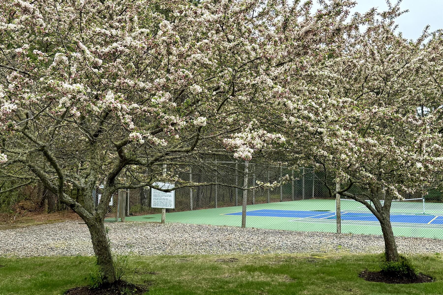 Mashpee, Massachusetts 02649, United States, 2 Bedrooms Bedrooms, ,2 BathroomsBathrooms,Residential,Pending,124518