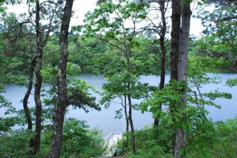 Photo of 184 Fells Pond Road, Mashpee, MA 02649 (MLS # 22602870)