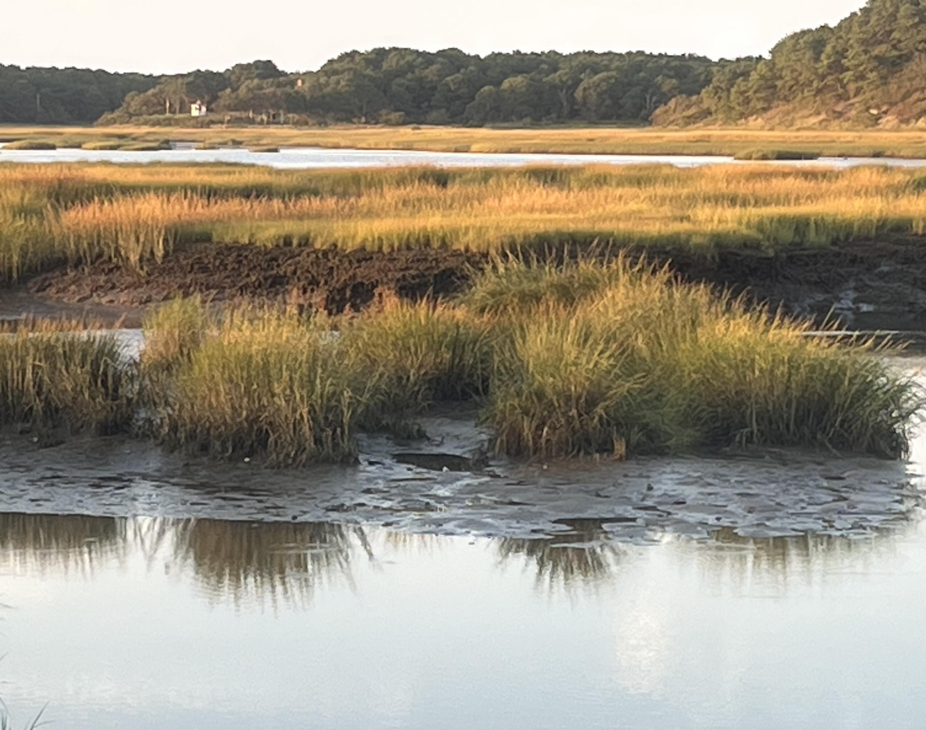 Wellfleet, Massachusetts 02667, United States, 3 Bedrooms Bedrooms, ,2 BathroomsBathrooms,Residential,Pending,226390