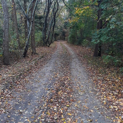 OX PASTURE RD, EAST SANDWICH, MA 02537 - Image d756f584dba3c5d2bc8a823969a1b879/336147680