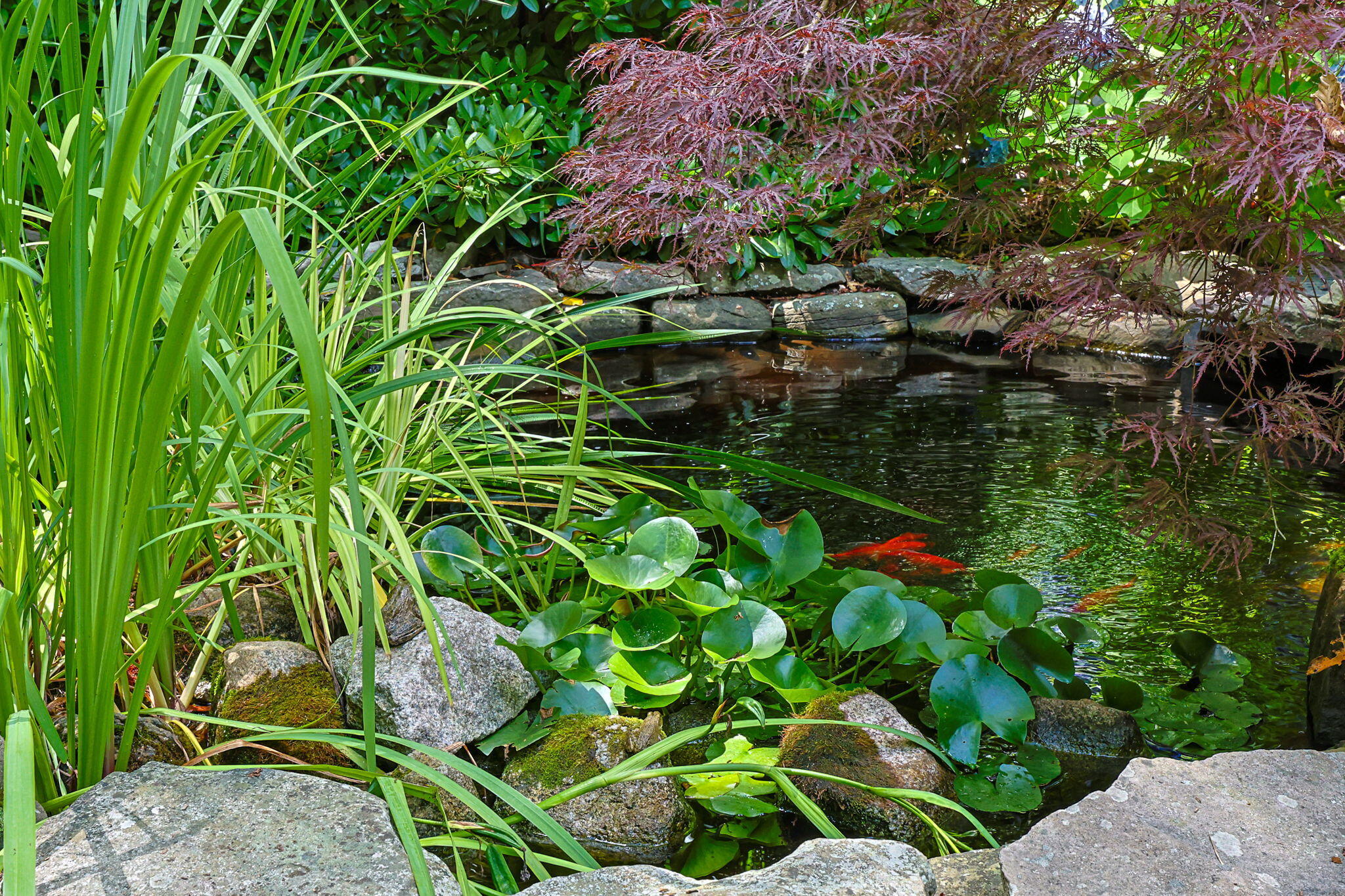 Brewster, Massachusetts 02631, United States, 3 Bedrooms Bedrooms, ,2 BathroomsBathrooms,Residential,Active,173827