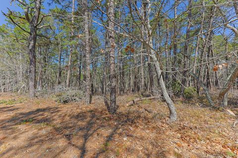 Photo of 175 Delphi Path, Wellfleet, MA 02667 (MLS # 22601518)