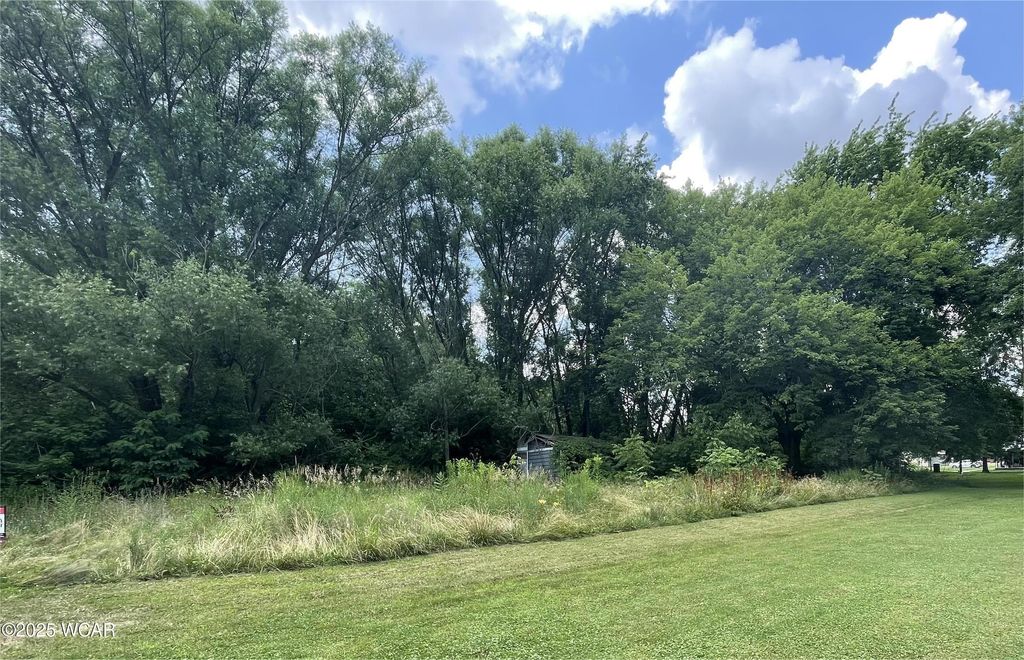 Photo of 726 Tracy Street, Kenton, OH 43326 (MLS # 307613)