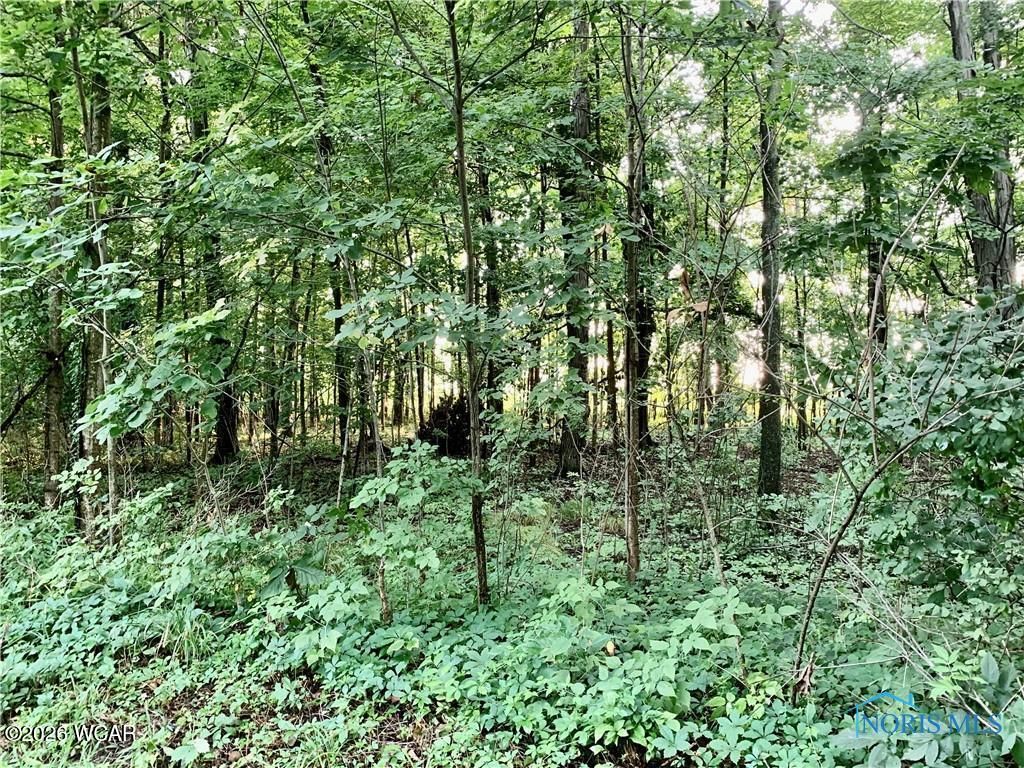 Photo of 0 ST ANDREWS Drive, Bryan, OH 43506 (MLS # 309410)