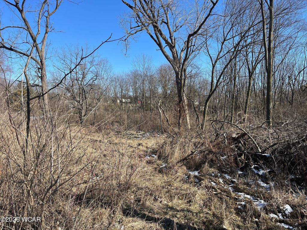 Photo of 0 Spring Street, Saint Johns, OH 45884 (MLS # 309542)