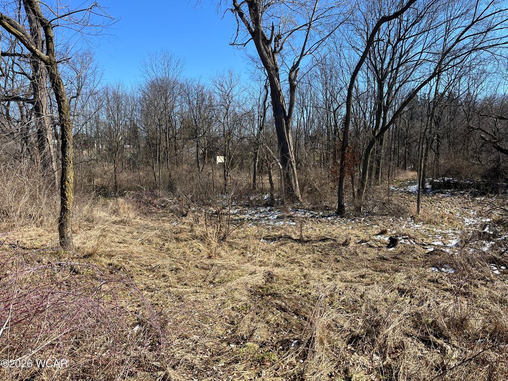 Photo of 0 Spring Street, Saint Johns, OH 45884 (MLS # 309542)