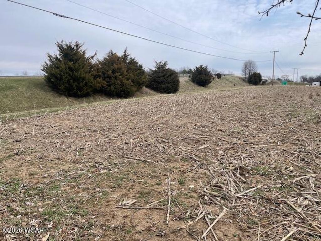 Photo of 0 Hengstler Road, Wapakoneta, OH 45895 (MLS # 309732)