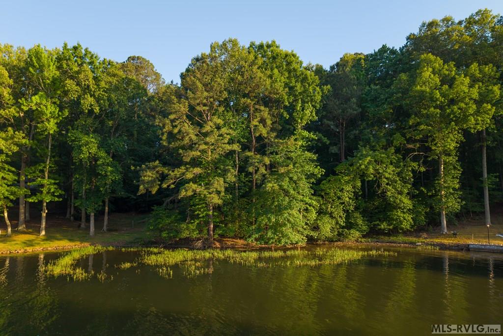 TBD Stewart Payne Lane - Photo 4