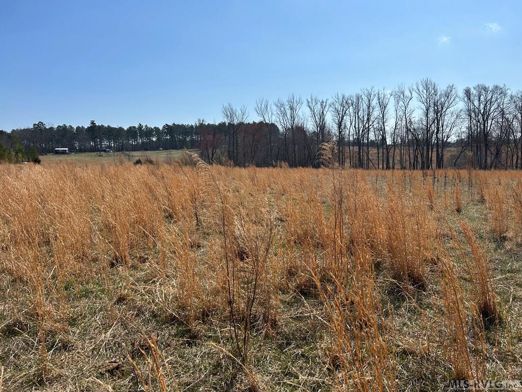 0000 Wightman Rd. - Photo 3