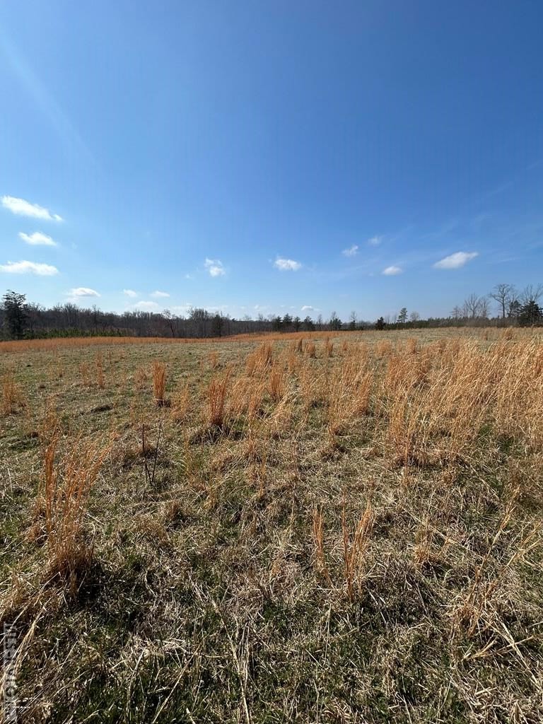 0000 Wightman Rd. - Photo 4
