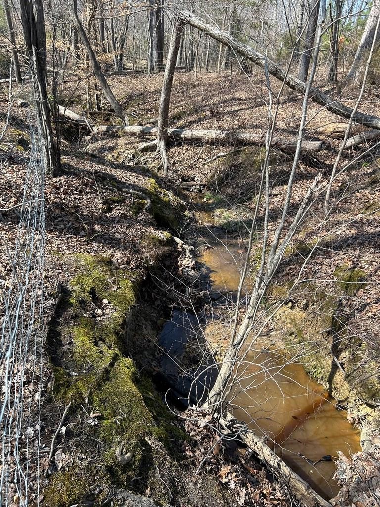 0000 Wightman Rd. - Photo 2