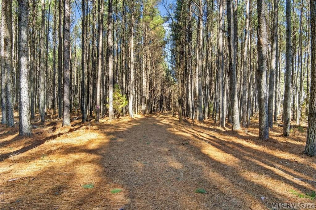 Path through property, The property can be walked easily, allowing the opportunity to see multiple potential home site locations