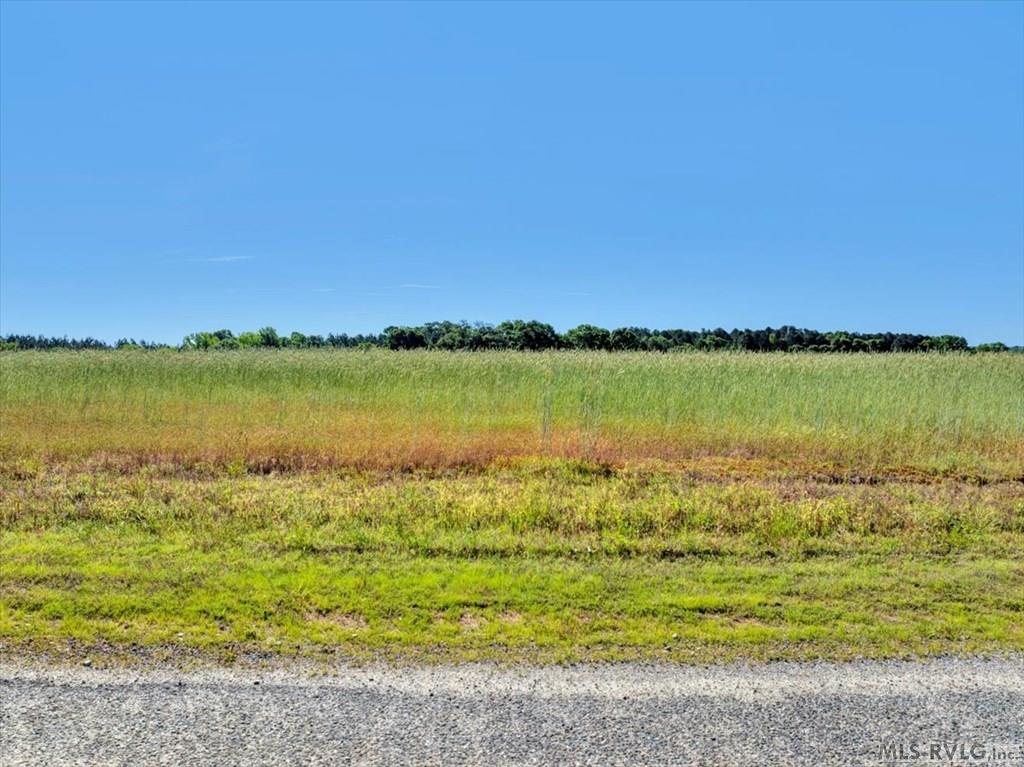 Lot 17 Boxwood Shores - Photo 3