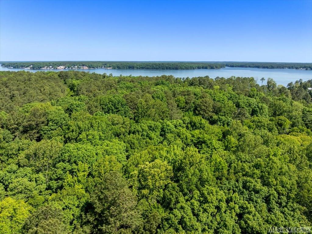 Lot 36 River Forest Drive - Photo 3