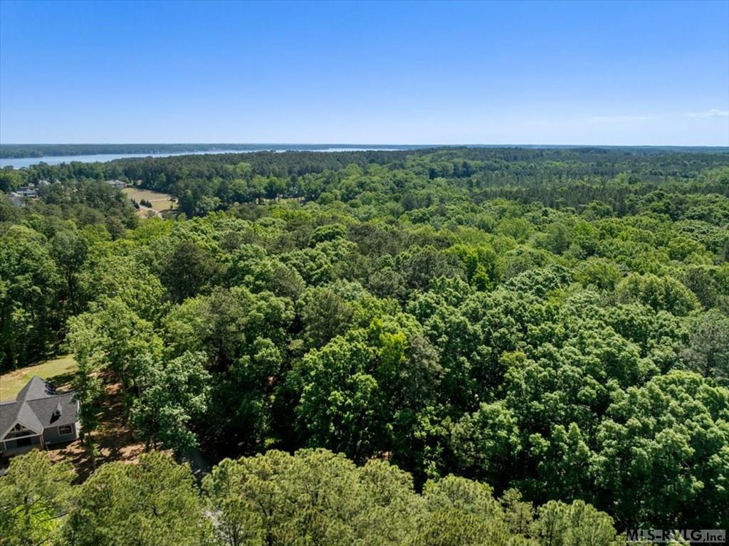 Lot 36 River Forest Drive - Photo 2