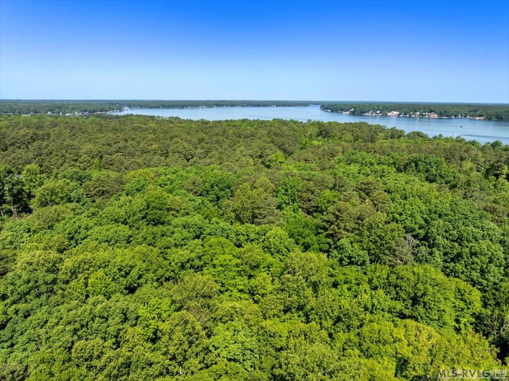 Lot 36 River Forest Drive - Photo 4
