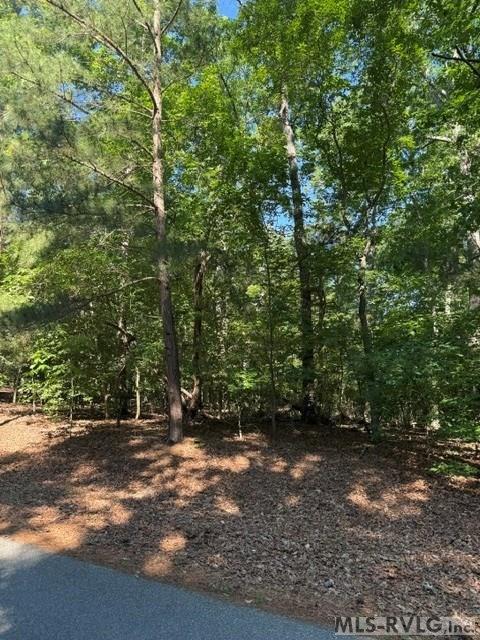 Lot 58 Occanecchi Trail - Photo 4