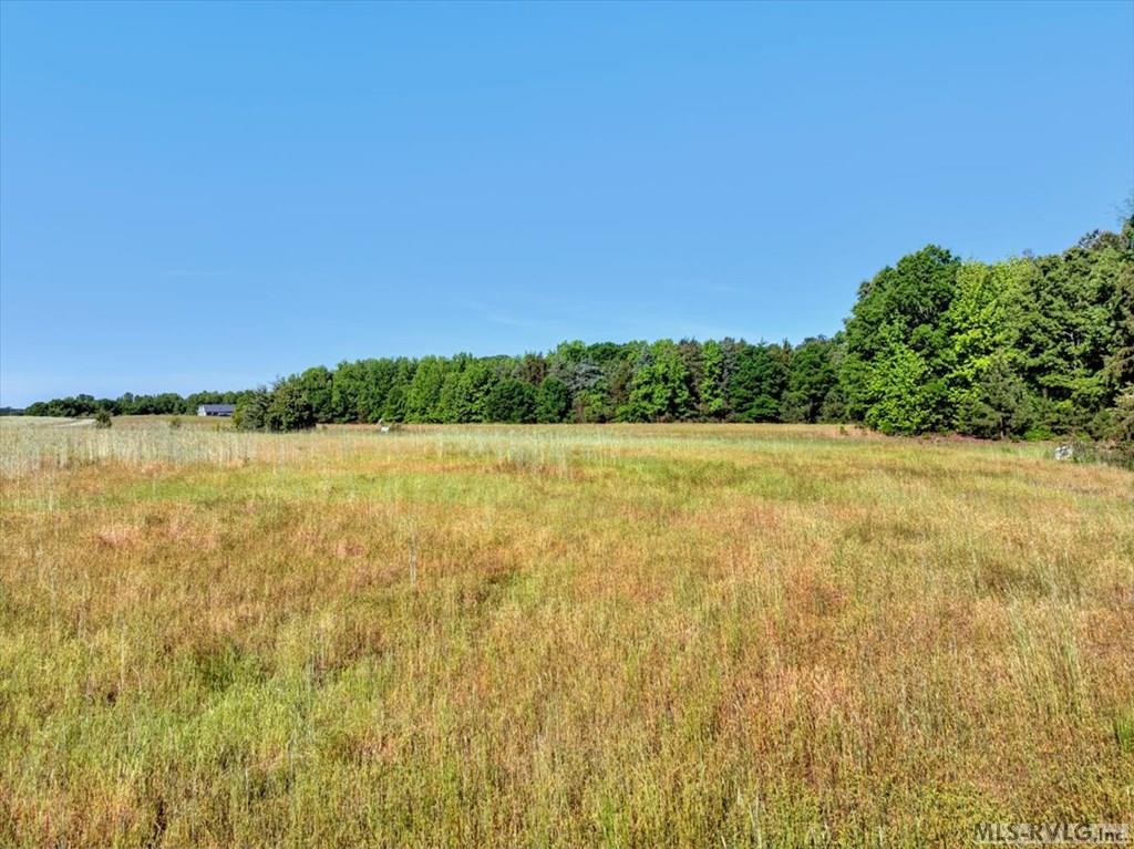 438 Boxwood Shores - Photo 4