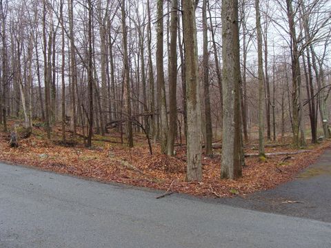 Vacant Land For Sale - LOT 74 Alder Drive<br/> Newfoundland, PA 18445