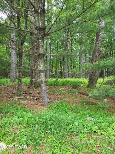 Vacant Land For Sale - LOT #97 S. Nichecronk Road<br/> Dingmans Ferry, PA 18328