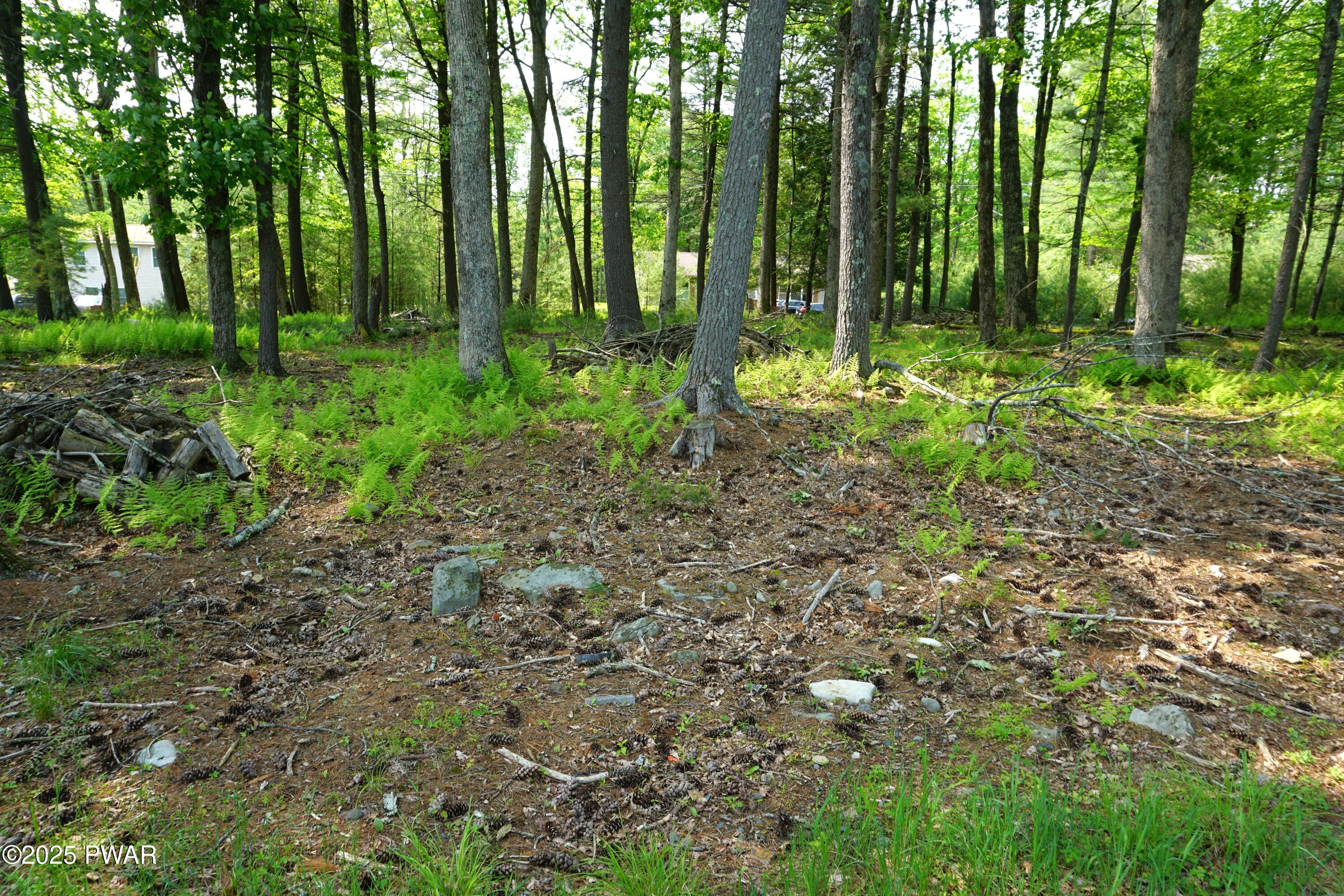 Lot #97 S. Nichecronk Road, Dingmans Ferry, Pennsylvania image 2
