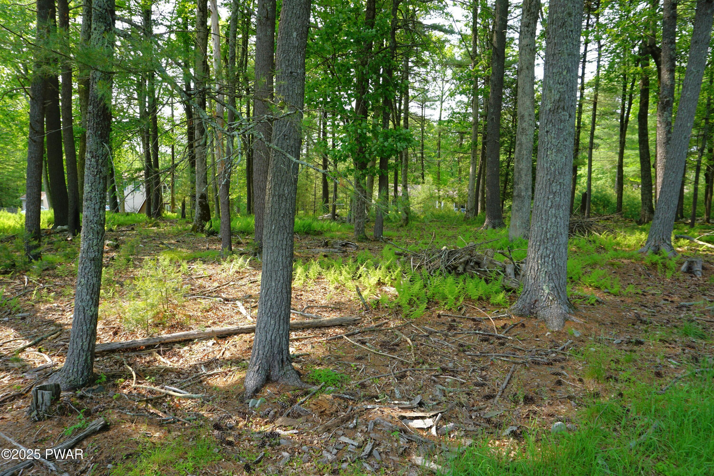 Lot #97 S. Nichecronk Road, Dingmans Ferry, Pennsylvania image 1