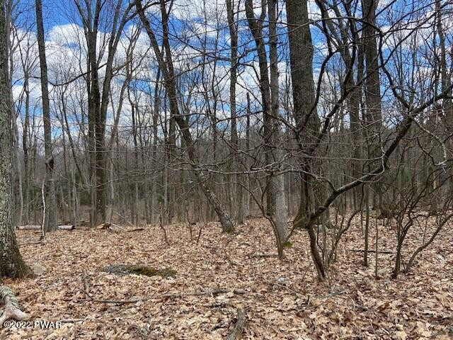 LOT 359 Panda Road, Dingmans Ferry, Pennsylvania image 2