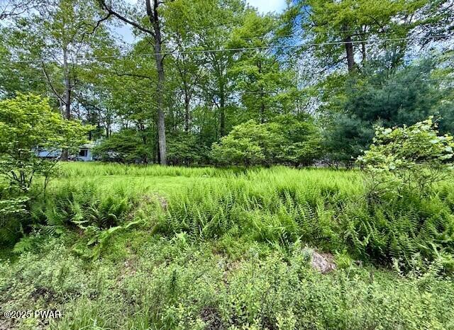 LOT 359 Panda Road, Dingmans Ferry, Pennsylvania image 2