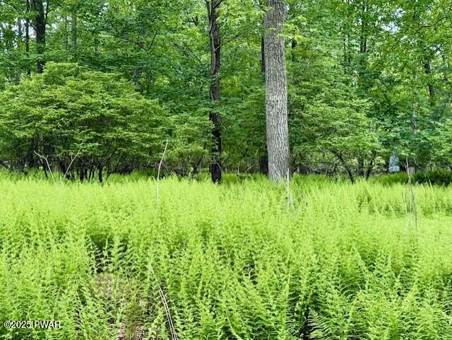 LOT 359 Panda Road, Dingmans Ferry, Pennsylvania image 3