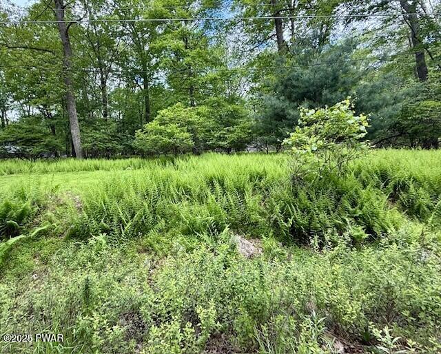 LOT 359 Panda Road, Dingmans Ferry, Pennsylvania image 1