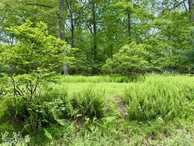 LOT 359 Panda Road, Dingmans Ferry, Pennsylvania image 4