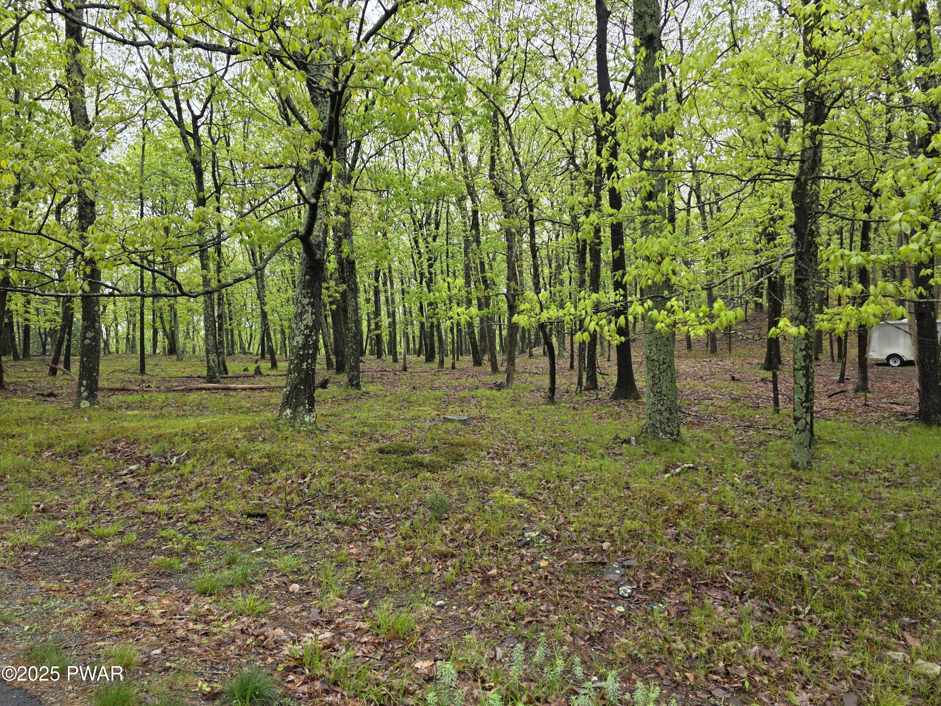 Lot 305 Eastwood Drive, Greentown, Pennsylvania image 6