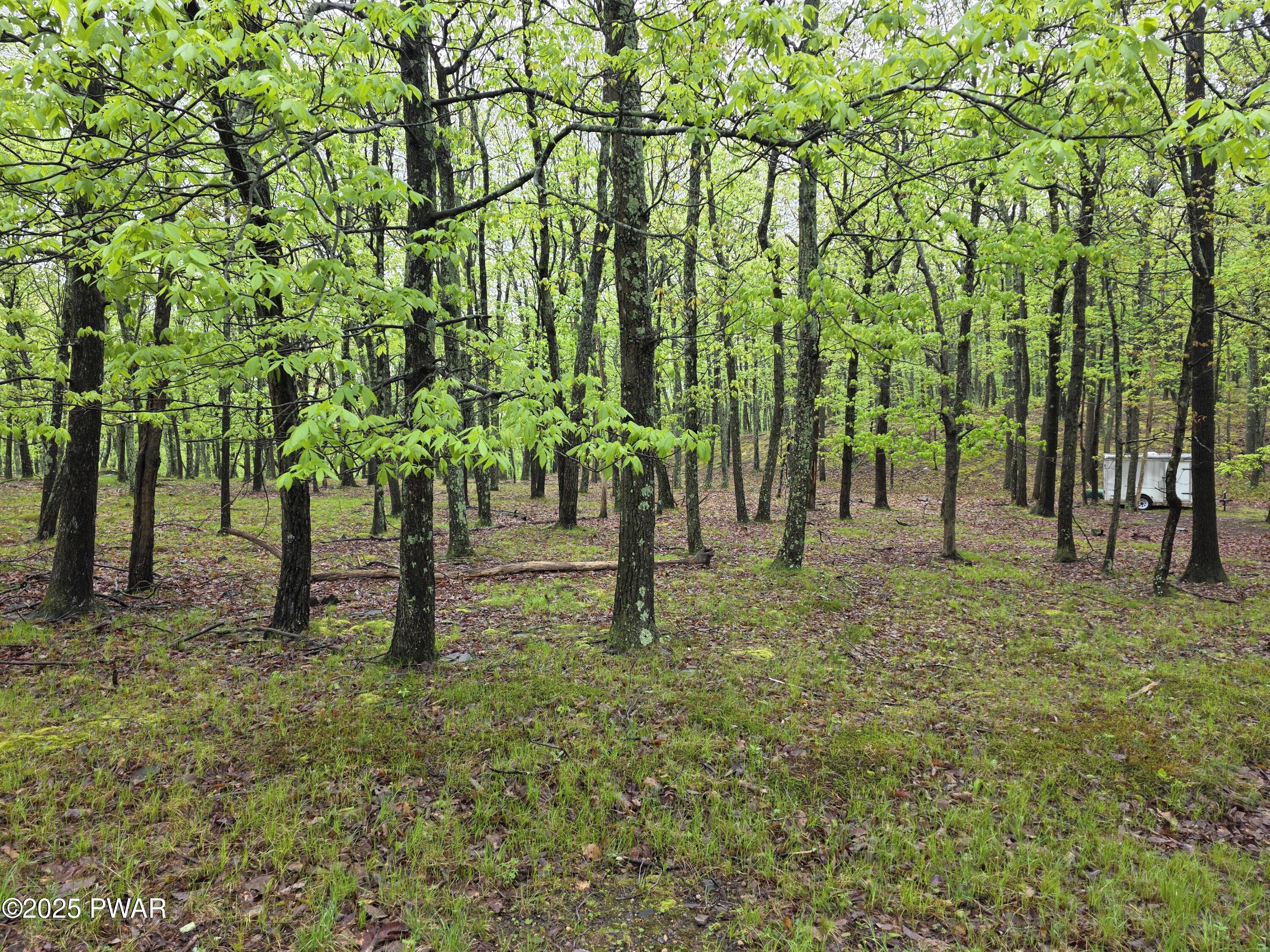 Lot 305 Eastwood Drive, Greentown, Pennsylvania image 9