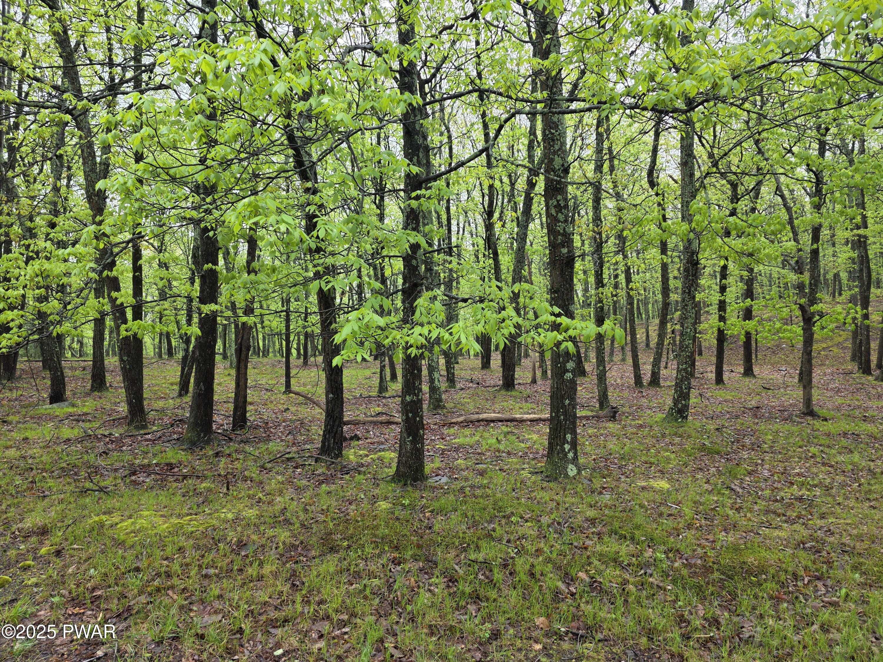Lot 305 Eastwood Drive, Greentown, Pennsylvania image 5