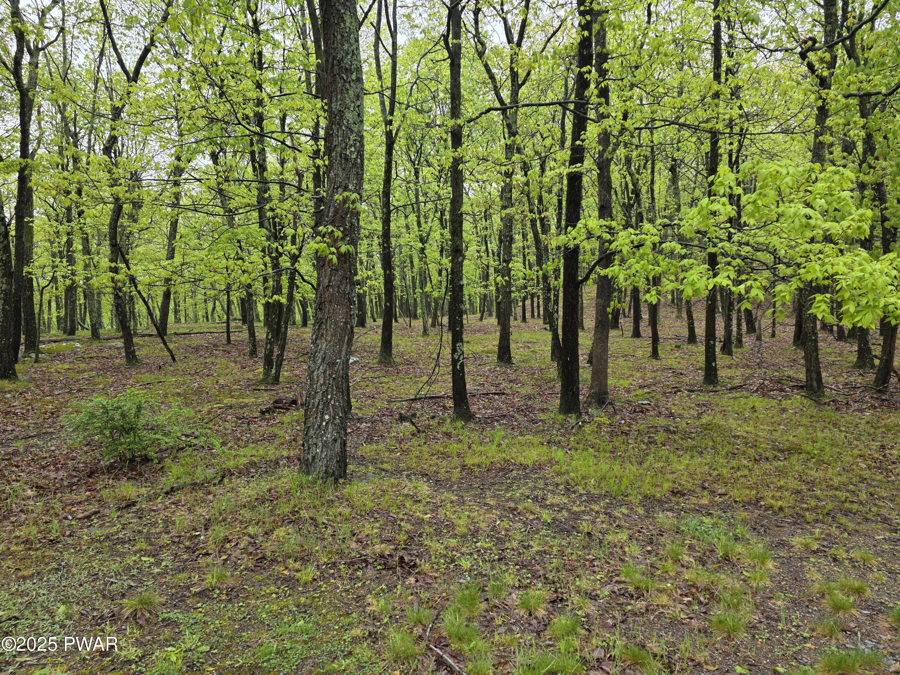 Lot 305 Eastwood Drive, Greentown, Pennsylvania image 4