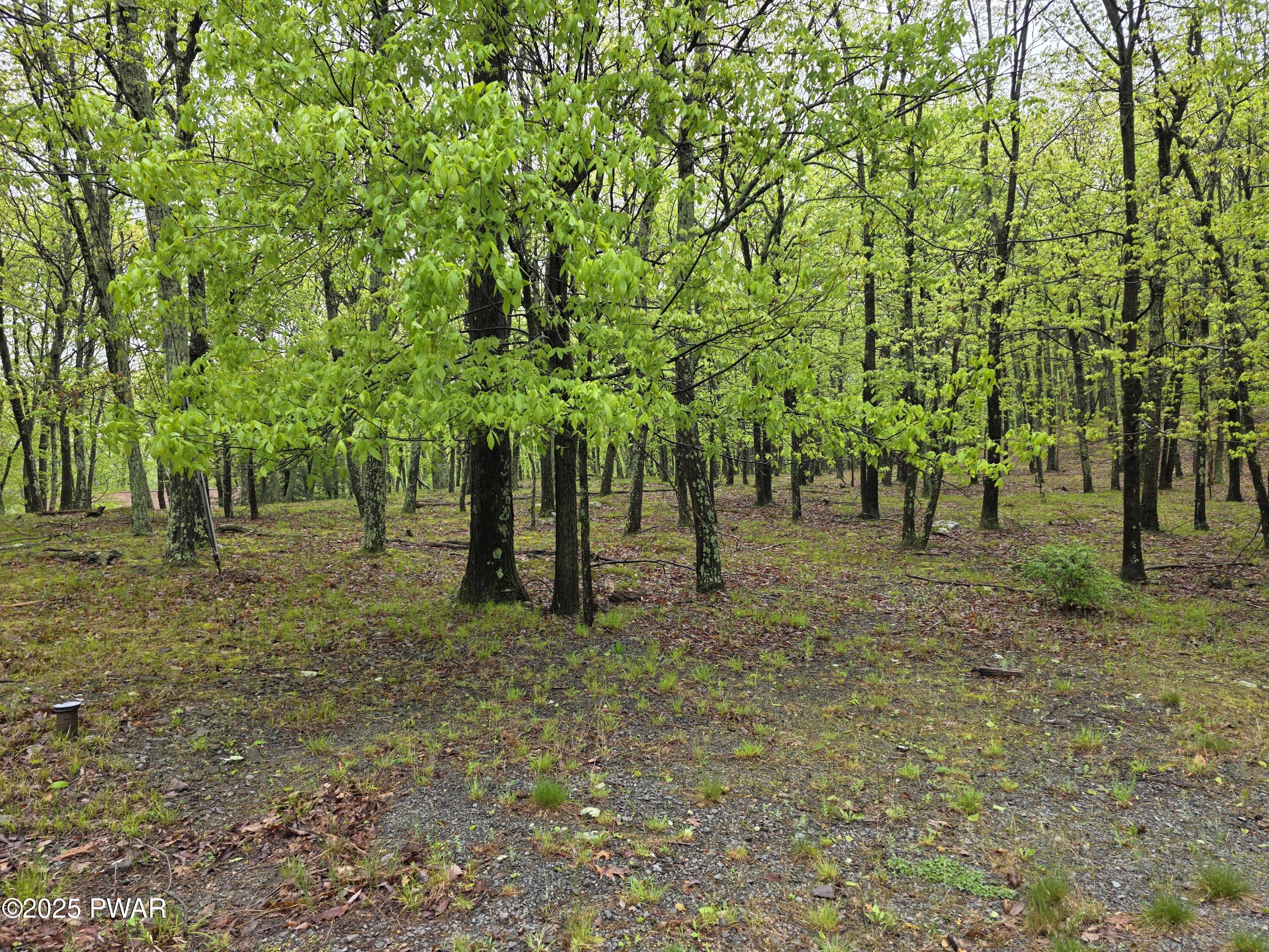 Lot 305 Eastwood Drive, Greentown, Pennsylvania image 8