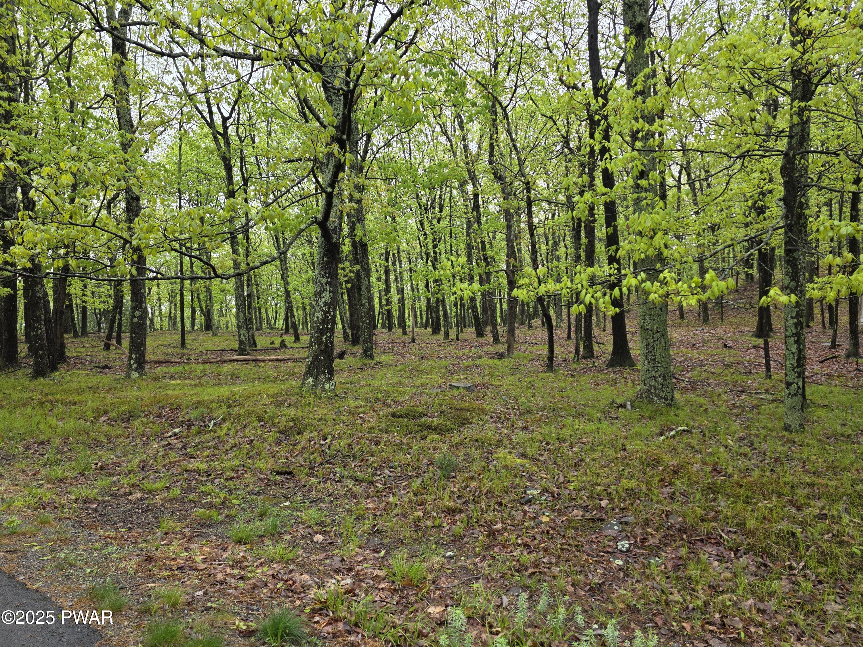 Lot 305 Eastwood Drive, Greentown, Pennsylvania image 7