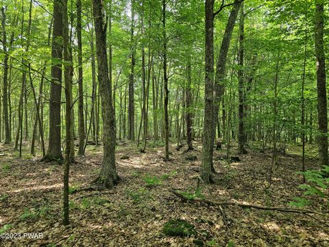 Vacant Land For Sale - LOT 61 Rock Run Road<br/> Equinunk, PA 18417