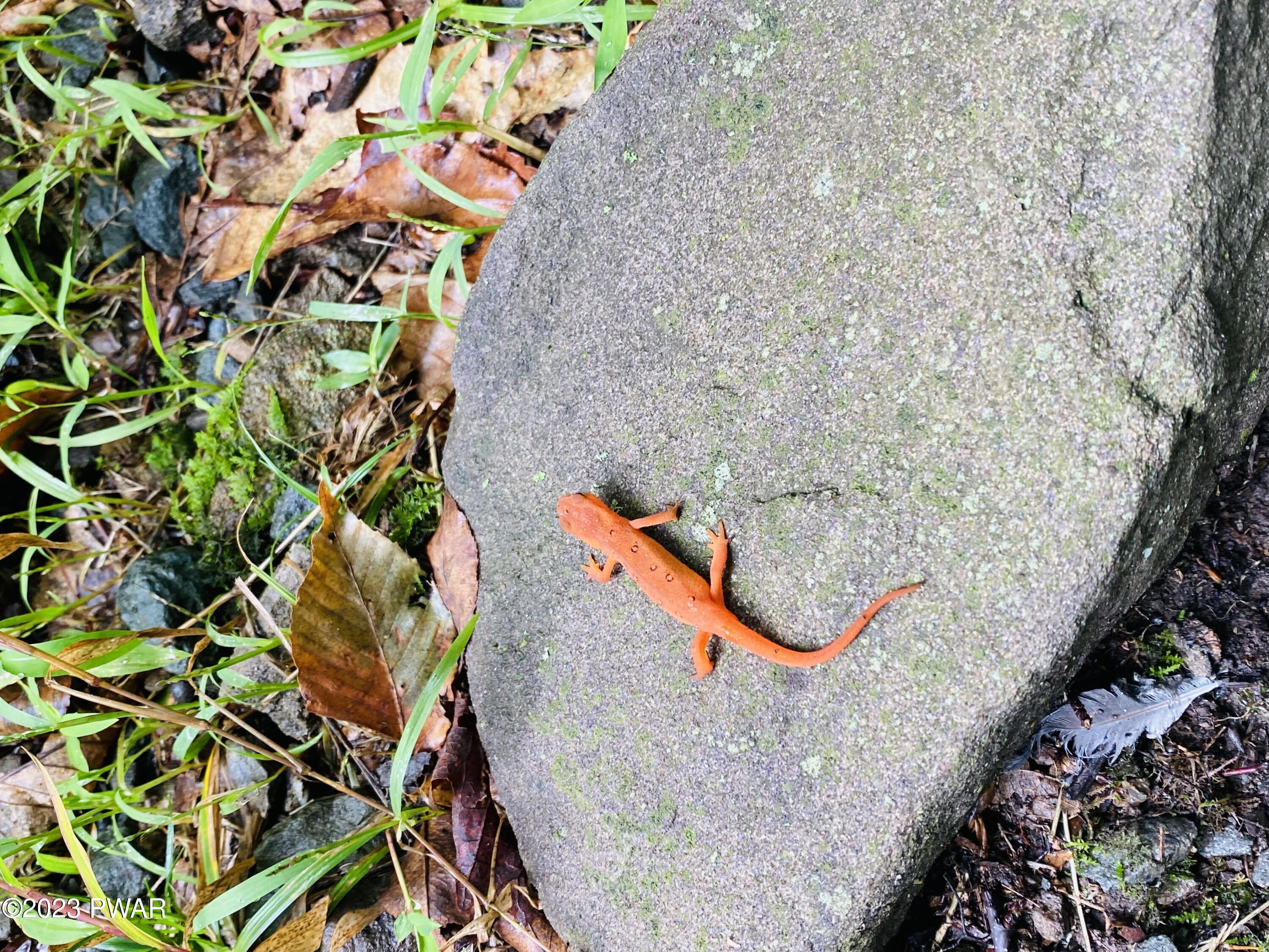 Greentown, Pennsylvania 18426, United States, 3 Bedrooms Bedrooms, ,2 BathroomsBathrooms,Residential,Pending,68681