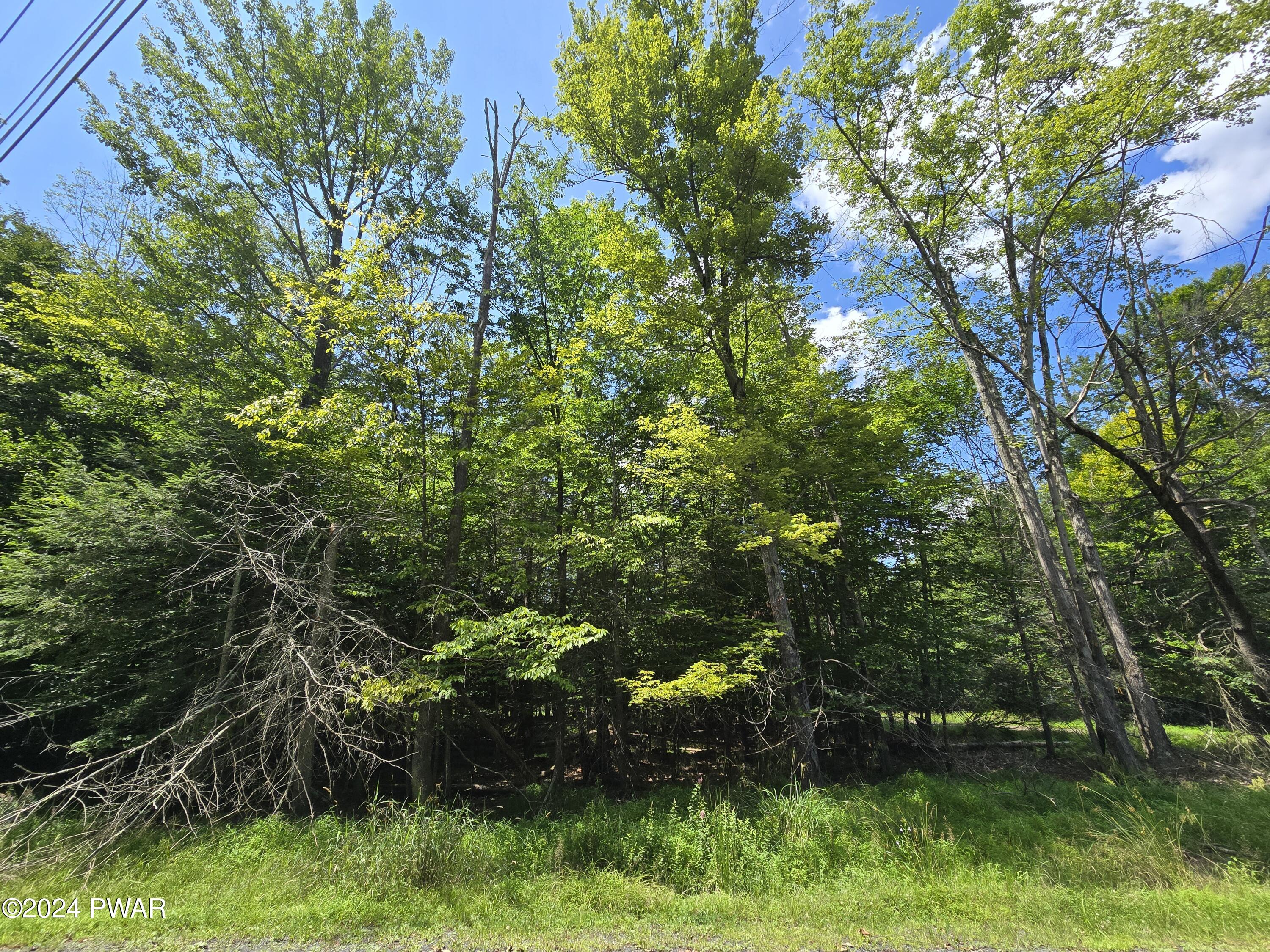 Cygnus Road, Lake Ariel, Pennsylvania image 2